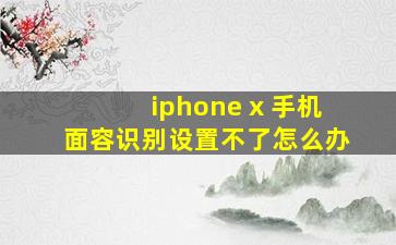 iphone x 手机面容识别设置不了怎么办